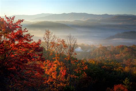 Foggy Autumn Morning In The Great Smokey Mountains Landscape Foggy