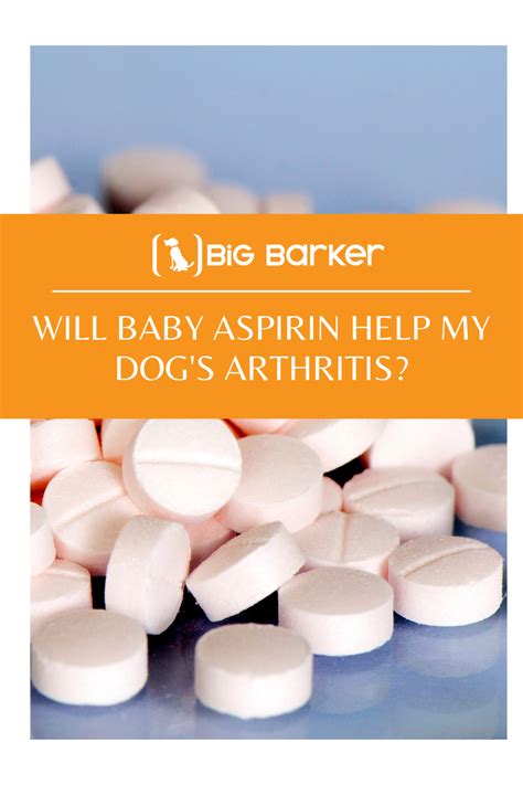 Will Baby Aspirin Help My Dogs Arthritis In 2021 Dog Arthritis
