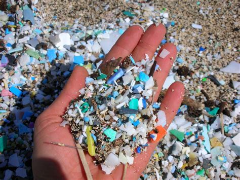 These pollutants cause environmental degradation and also affect different living organisms and their habitats negatively. Microbe Mishap: Microplastic Pollution on the Coast of ...