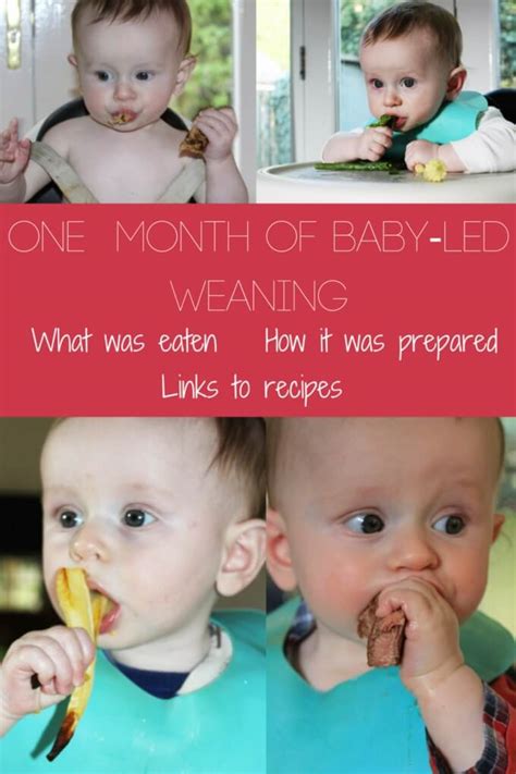 Breakfast ideas for babies 7 months. Baby-led weaning (blw) - food inspiration for the first month