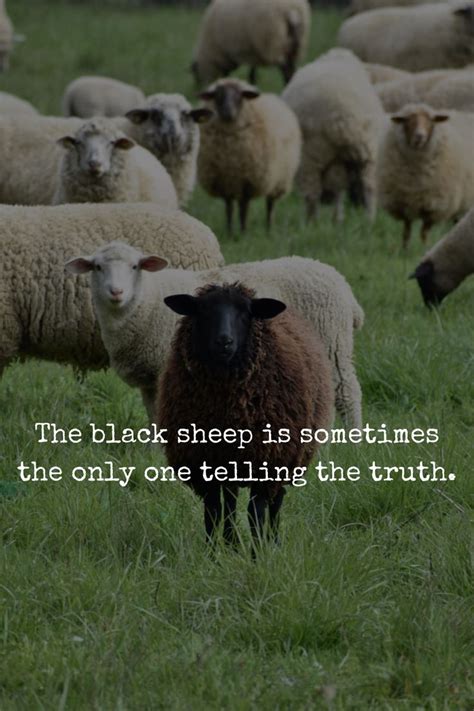 The Black Sheep Is Sometimes The Only One Telling The Truth Inspirational Quotes Motivation