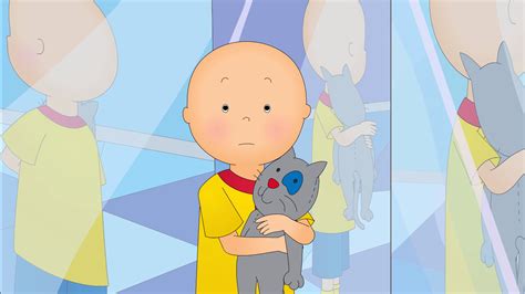 Why Is Caillou Bald Exploring The Story Behind Caillous Baldness