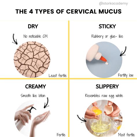 Cervical Mucus Is A Key Indicator For So Many Fertility Awareness The