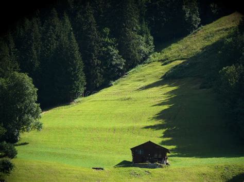 Mountain Hut In Green Meadow Stock Photo Image Of Wood Alpes 145789188