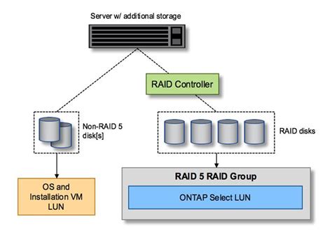Hardware Raid Services For Local Attached Storage