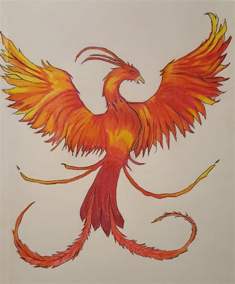 Getting Back Into Drawing Slowly Took Me 2 Days To Finish This Phoenix