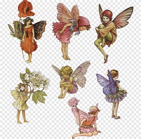 Fairy Elf Dryad Nymph Flower Fairies Fairy Illustrator Fictional