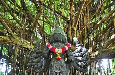 Kauai Hindu Temple Picture Of Kauai Russian Tours Lihue