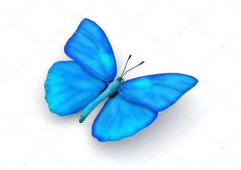 niebieski motyl na białym tle — zdjęcie stockowe © sellingpix 9598996
