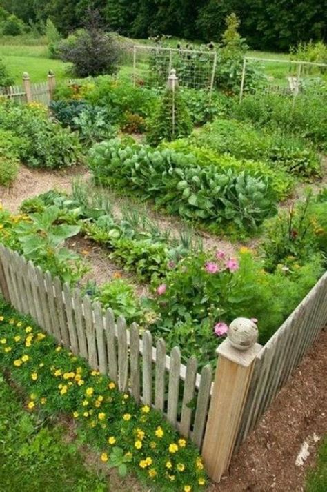 Best Small Vegetable Garden Ideas 5 Dlingoo Garden Layout