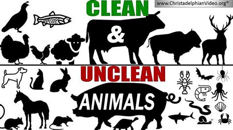 Clean And Unclean Animals