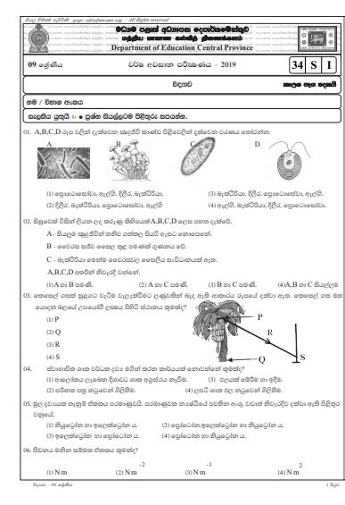 Grade Sinhala Past Paper Rd Term Test Western Province Hot Hot Sex