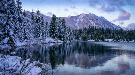 Forest Lake And Snow Covered Mountain During Winter K K Hd Nature Wallpapers Hd Wallpapers