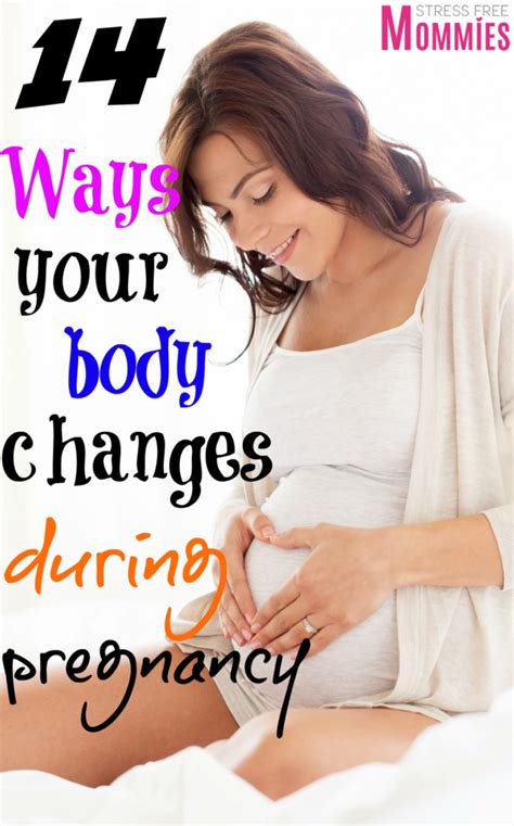Ways Your Body Changes During Pregnancy Stress Free Mommies