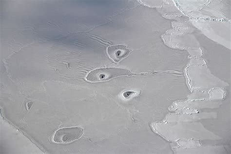 On The Ice Of The Arctic Observed Strange Holes