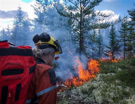 May 29, 2021 · orders such as provincial border closures, a ban on recreational camping, and the ability to transfer hospital patients through the province will be extended past june 2, the ontario government. Ontario Government Restricting All Outdoor Fires ...