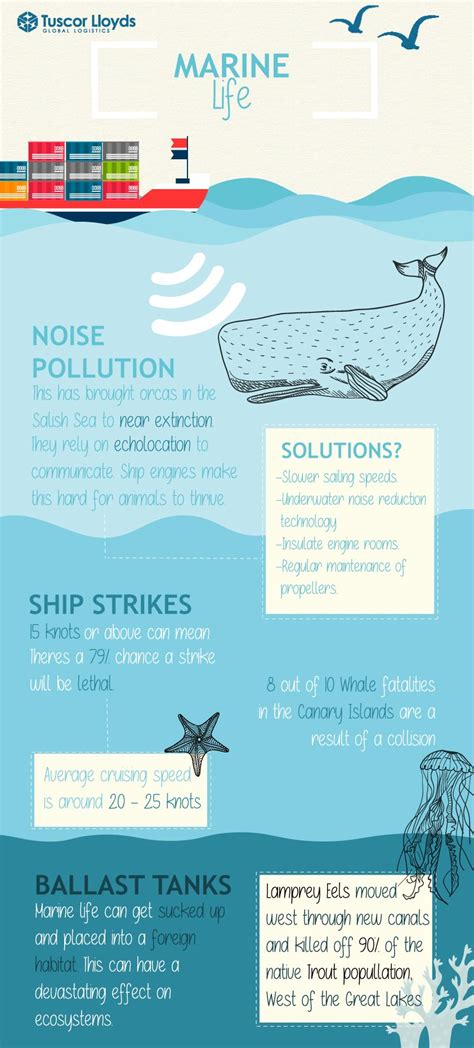 Marine Life: Facts and Figures Infographic | Tuscor Lloyds