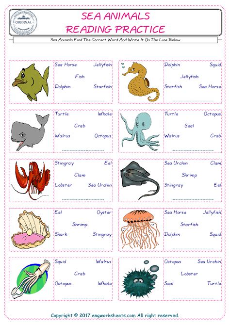 Sea Animals Esl Printable English Vocabulary Worksheets