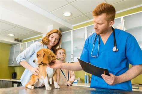 3 Veterinarian Tips For First Time Pet Owners Wahiawa Pet Hospital