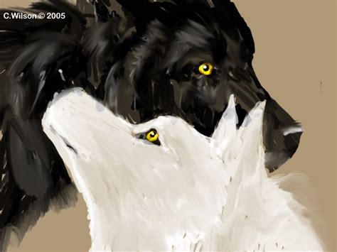 Black Wolfwhite Wolf By Windseeker On Deviantart
