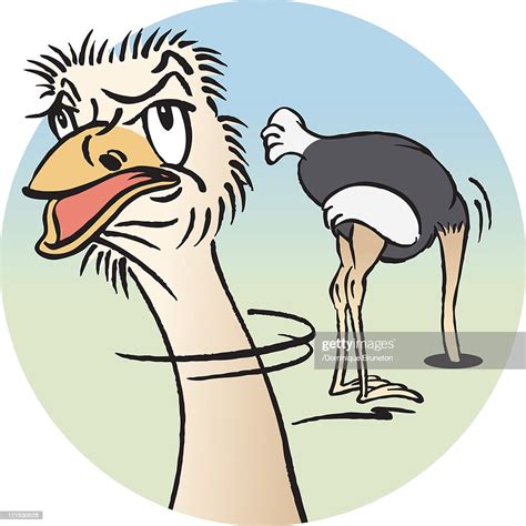 Ostrich Burying Head In Sand High Res Stock Photo Getty Images