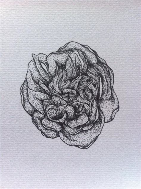 Stippled Rose Unfinished By Sophieelizabethx On Deviantart