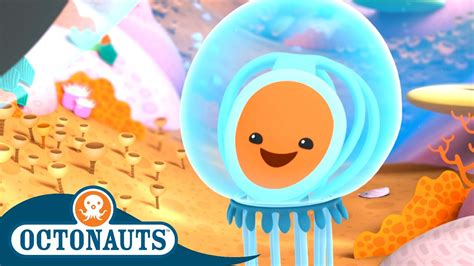 Octonauts The Immortal Jellyfish Cartoons For Kids Underwater Sea
