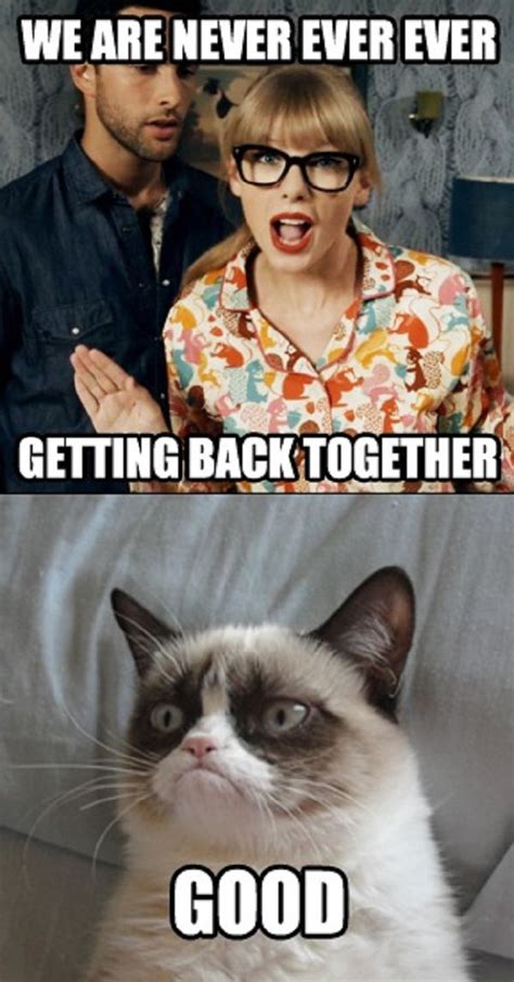 See The Beautiful Funny Memes About Grumpy Cat Talor Swift Hilarious Pets Pictures