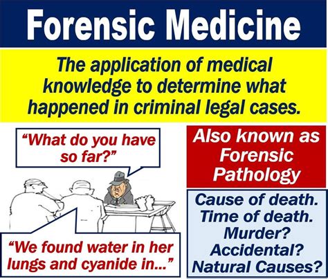 What Is Forensic Medicine Definition And Examples Market Business News