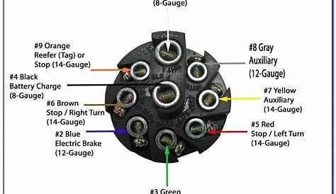 7 Pole Round Pin Trailer Wiring Connector Diagram | prosecution2012