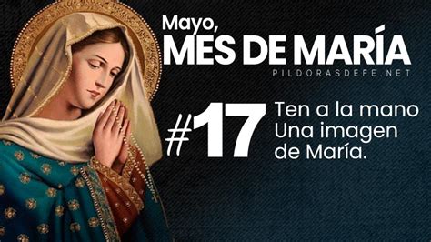 Mayo Mes De María Día 17 Una Imagen De La Virgen En Donde Estés