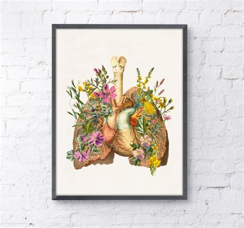 Corazón De Flor Anatómica Pulmón De Flor Impresión De Arte Etsy