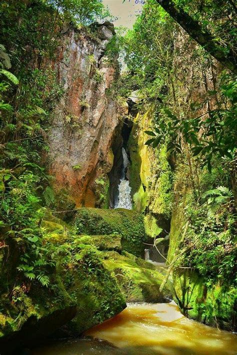 Maybe you would like to learn more about one of these? Finca Santa Elena, San Juan, Intibuca ,Honduras ...