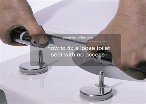 More images for how to fix toilet seat cover » How to Fix a Loose Toilet Seat with No Access ( in 4 steps )