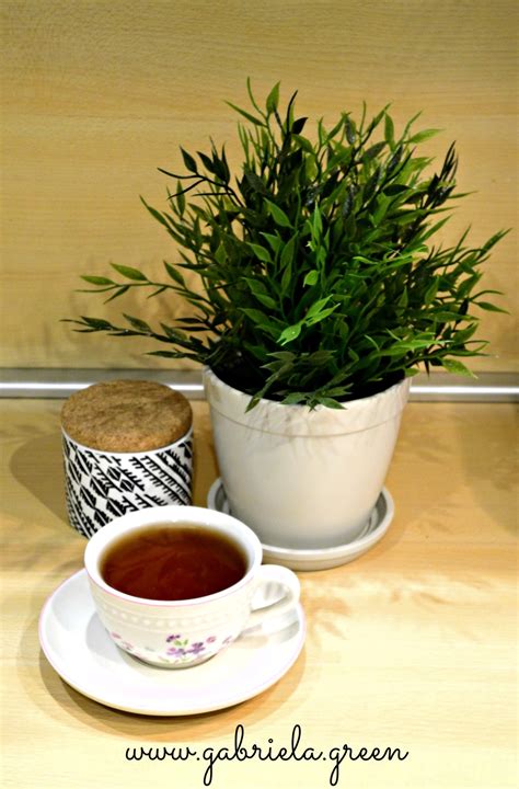 The Beginners Guide To Pu Erh Tea Gabriela Green