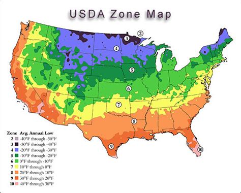 Usda Zone Based Veggie Planting Schedule Root Simple