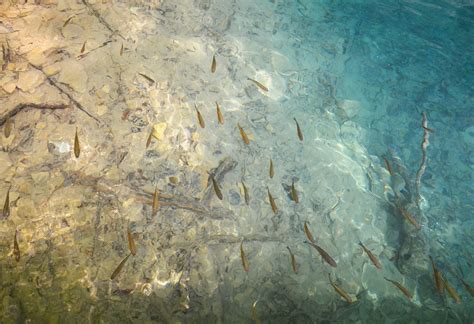 Free Images Lake Formation Underwater Cave Clear Water Croatia