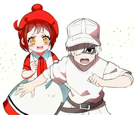 Cells At Work White Blood Cell X Red Blood Cell Anime Like Fairy