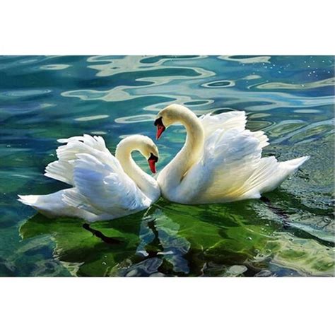 Two Lovely Swans Diy Painting By Numbers Kit Paint By Number