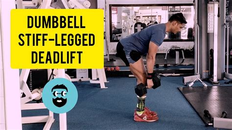 Dumbbell Stiff Legged Deadlift Youtube