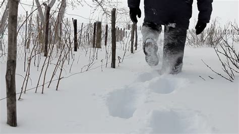 Man Wades Knee Deep Through Snow Man Walking Forward In