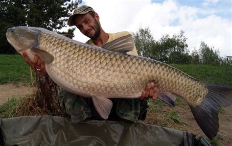 Huge Grass Carp Falls To Big Boilie Approach — Angling Times