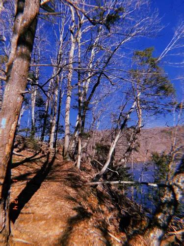 Best Hikes And Trails In Paugussett State Forest Alltrails