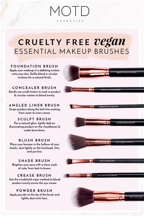 Makeup Brush Guide For Beginners Essential Tools You Need Motd Cosmetics Makeup Brushes
