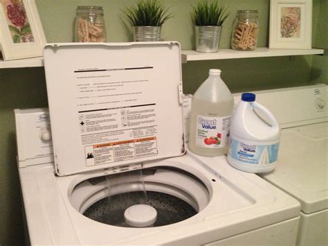 Week Pinterest Challenge How To Clean Your Washing Machine