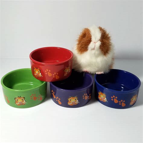 If you've owned rabbits for any amount of time the answer is probably too many! Large Ceramic Guinea Pig Dish 4.25"