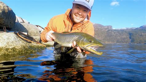 Norwegian Sea Trout I Must Say That 2021 Has Been Difficult But The