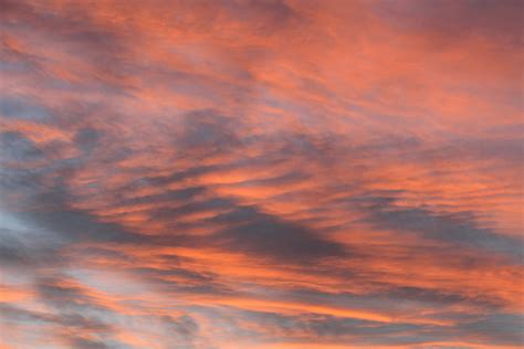 Free Stock Photo Of Pink Sky Skyline Sunset