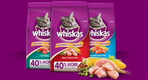 Makanan terbaik untuk kucing sepenuhnya tergantung pada kebutuhan mereka. Jangan Biarkan Nasi Menjadi Makanan Rutin Si Kucing