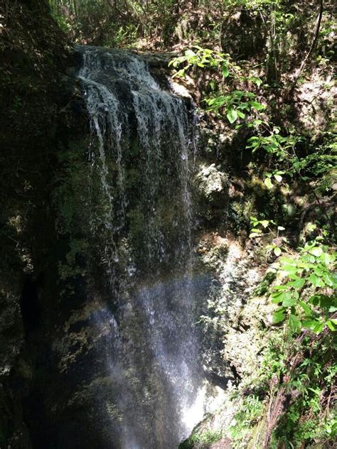 Falling Waters State Park Fl Waterfall State Parks Park